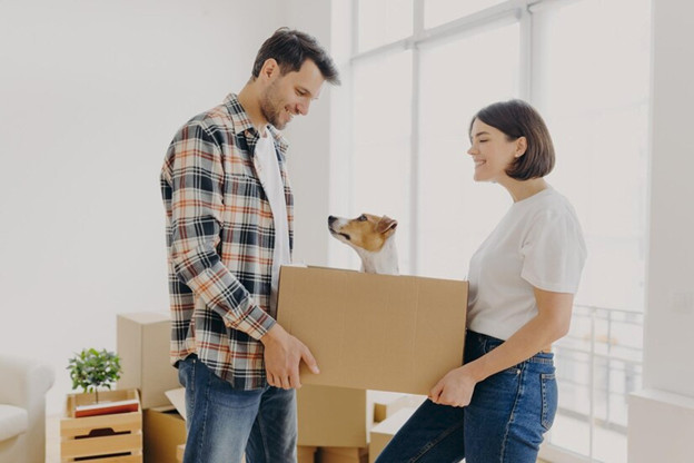 Tips for moving with your pets